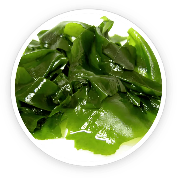 Wakame